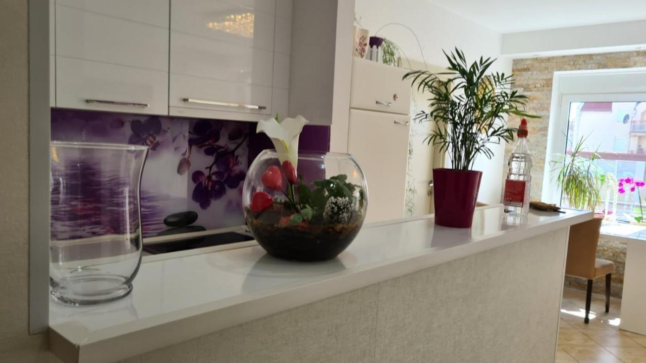 Ferienwohnung Apartman Anja Stara Pazova Exterior foto